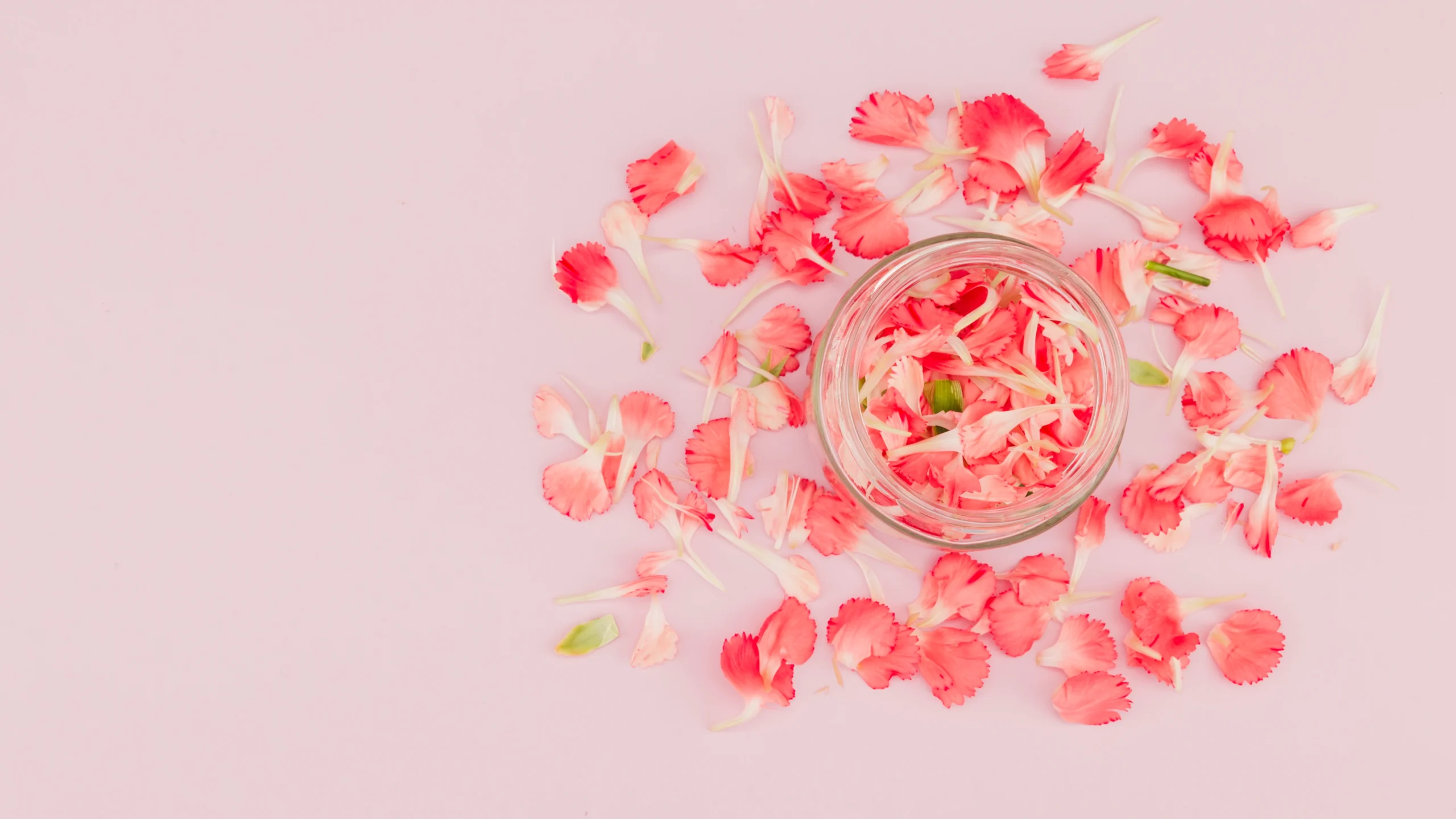Benefits of Rose Oil & How to Use It